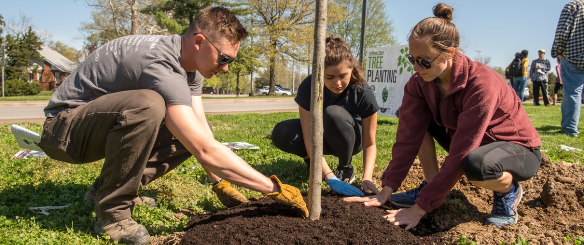 SIU Students Planting Trees durring 2019 Earth Day