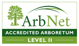 ArbNet Badge