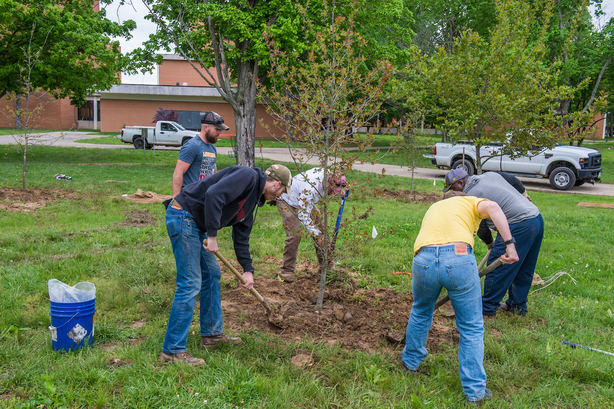 multiple people helping to plant a tree