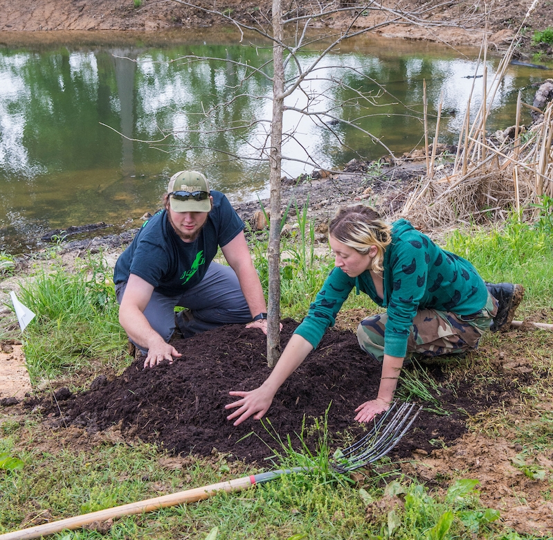 two people planting a tree