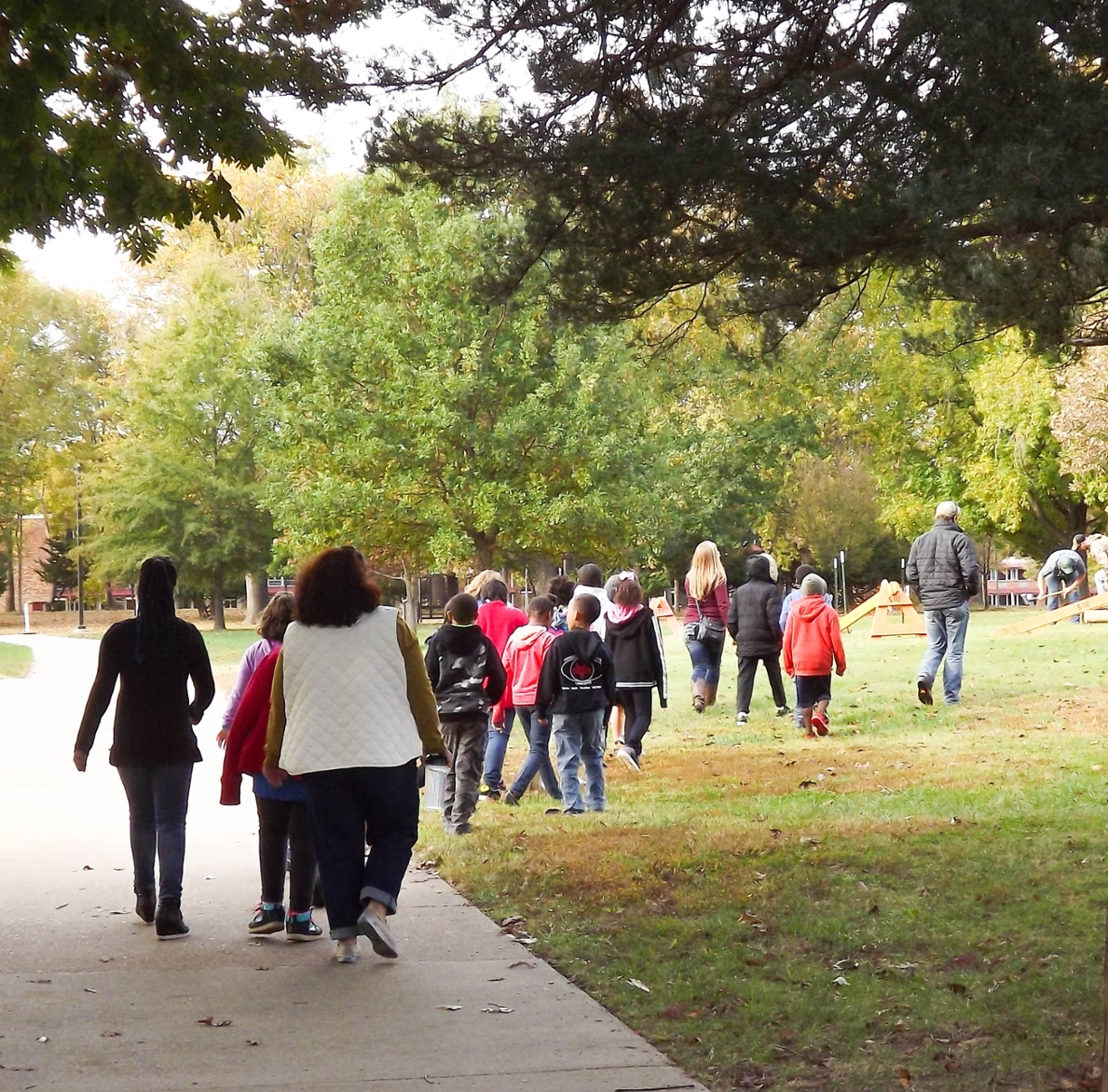 fourth graders on a tree walk