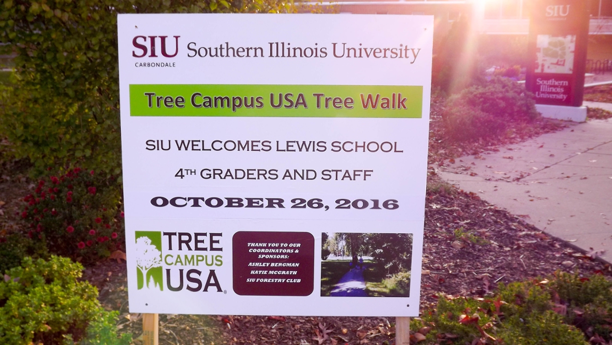 SIU Tree Walk Tree Campus USA Sign