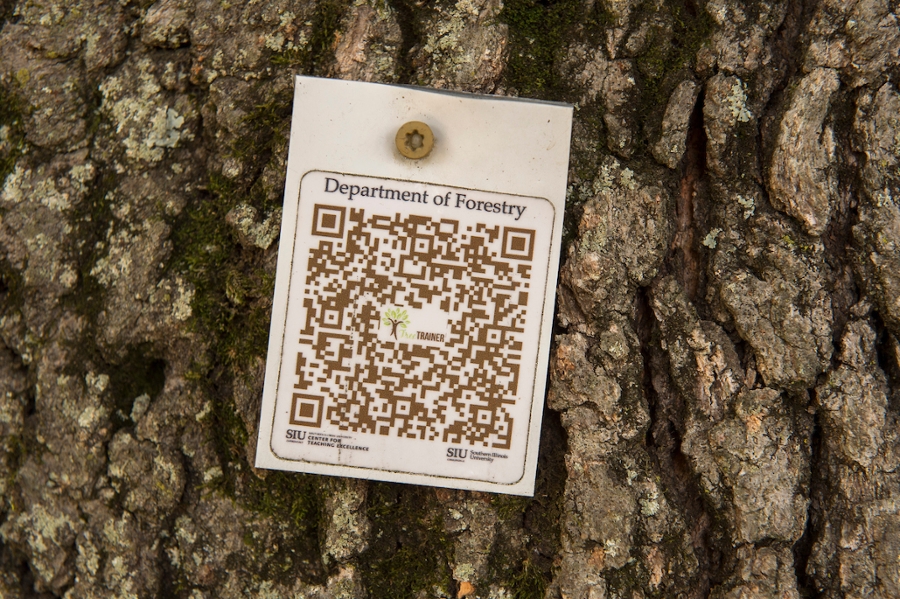 department of forestry QR code