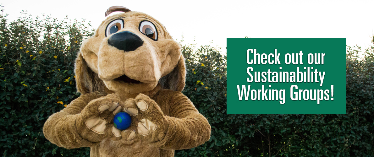 Check out our Sustainability Working Groups!