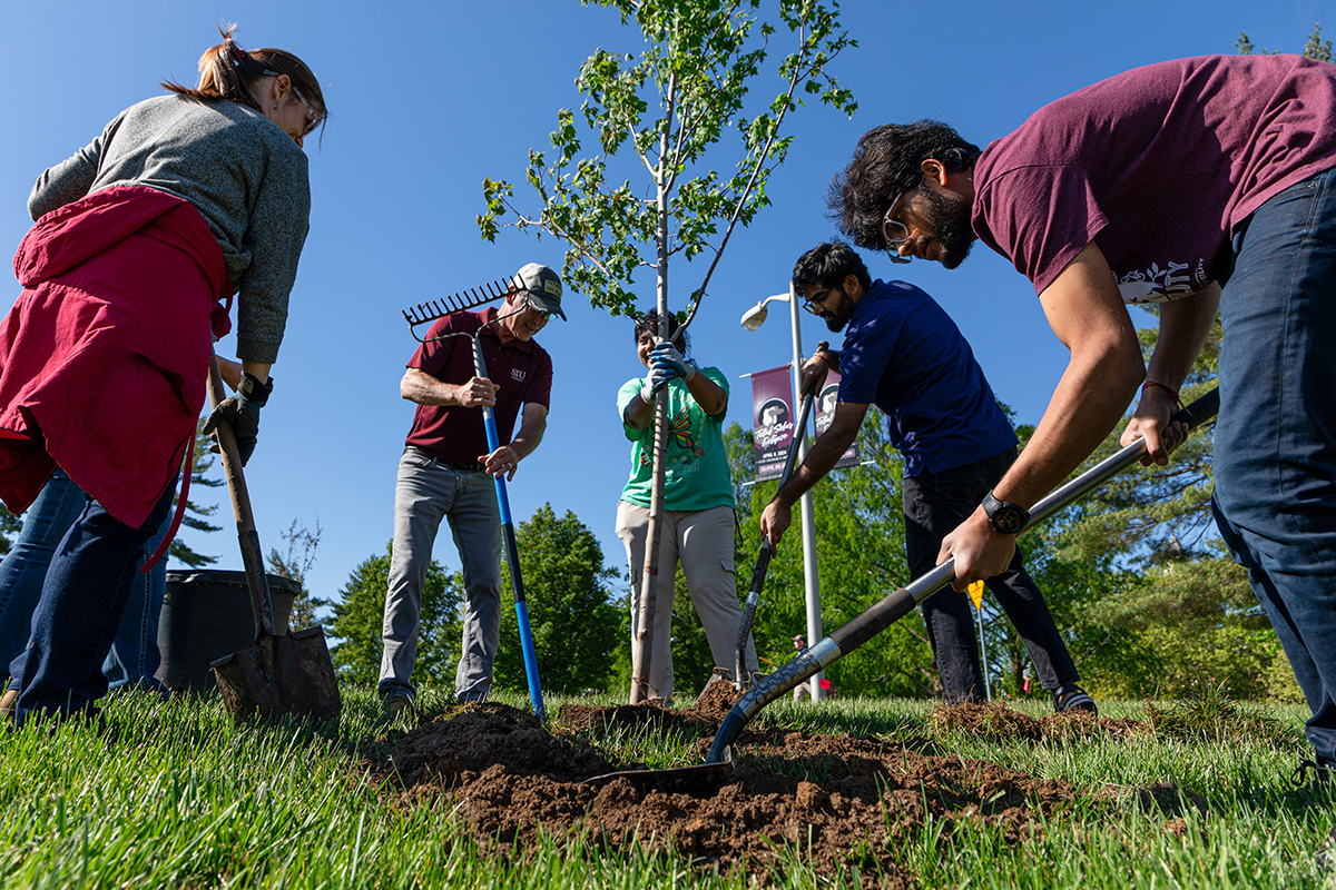 Sustainability representatives plant a tree