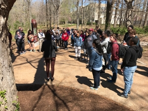 Green Tour Gathered in Thompson Woods