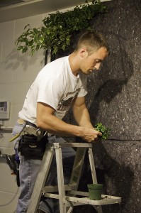 Green Wall Work