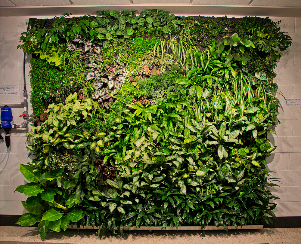 Green Wall