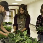 Student Green Wall Work