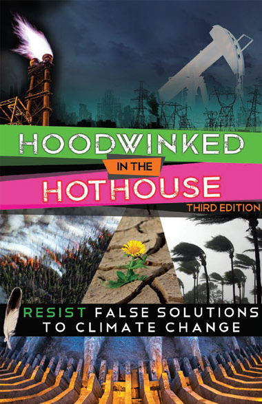 Hoodwinked in the Hot House Book
