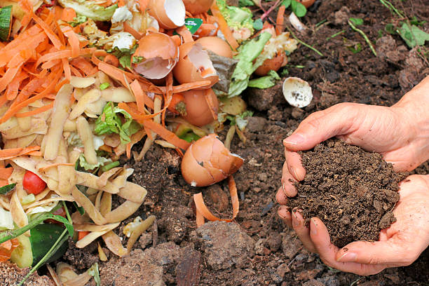compost-hands.png