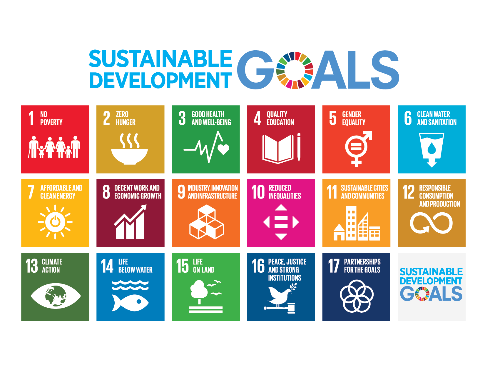 SDG-17-web-image.png