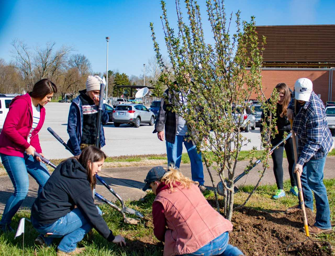 SIU students planting trees on campus