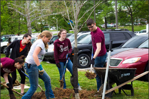 tree plant day 