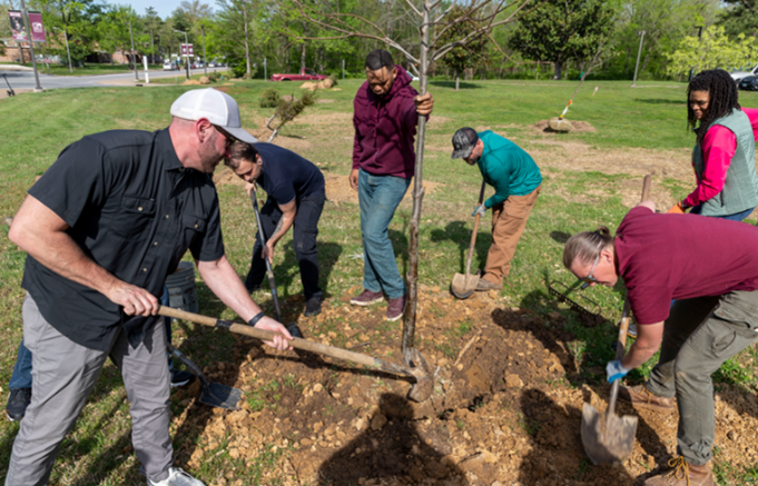 tree campus group planting a tree