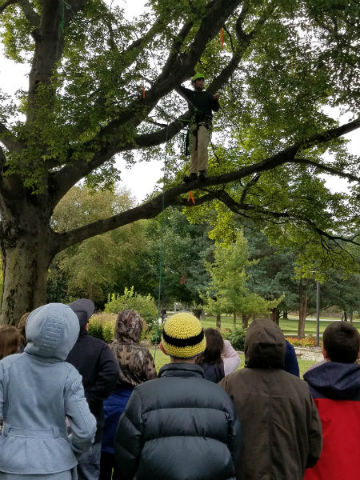 students looking at a guy in a tree giving a demonstration
