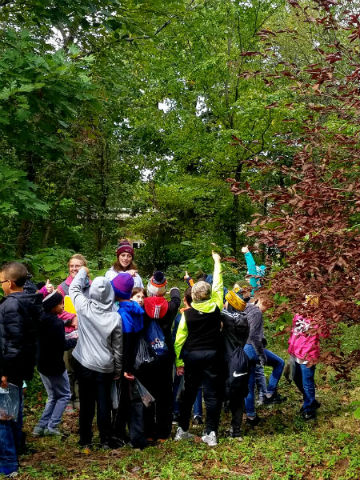 students on tree walk