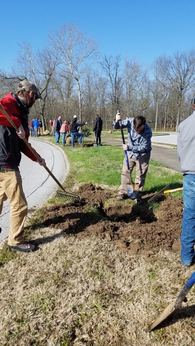people digging to plant a tree