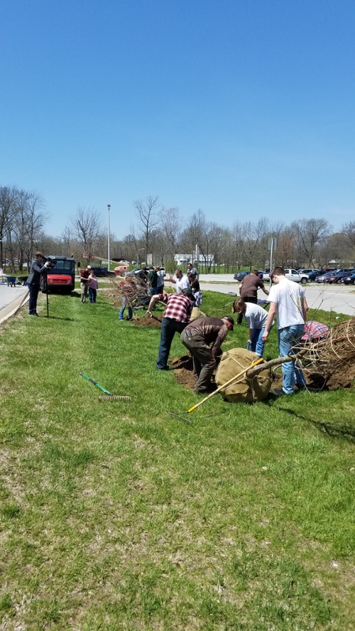 trees being planted