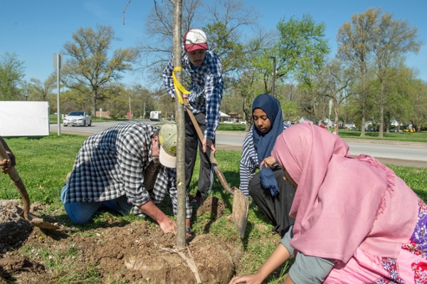 people digging to plant a tree