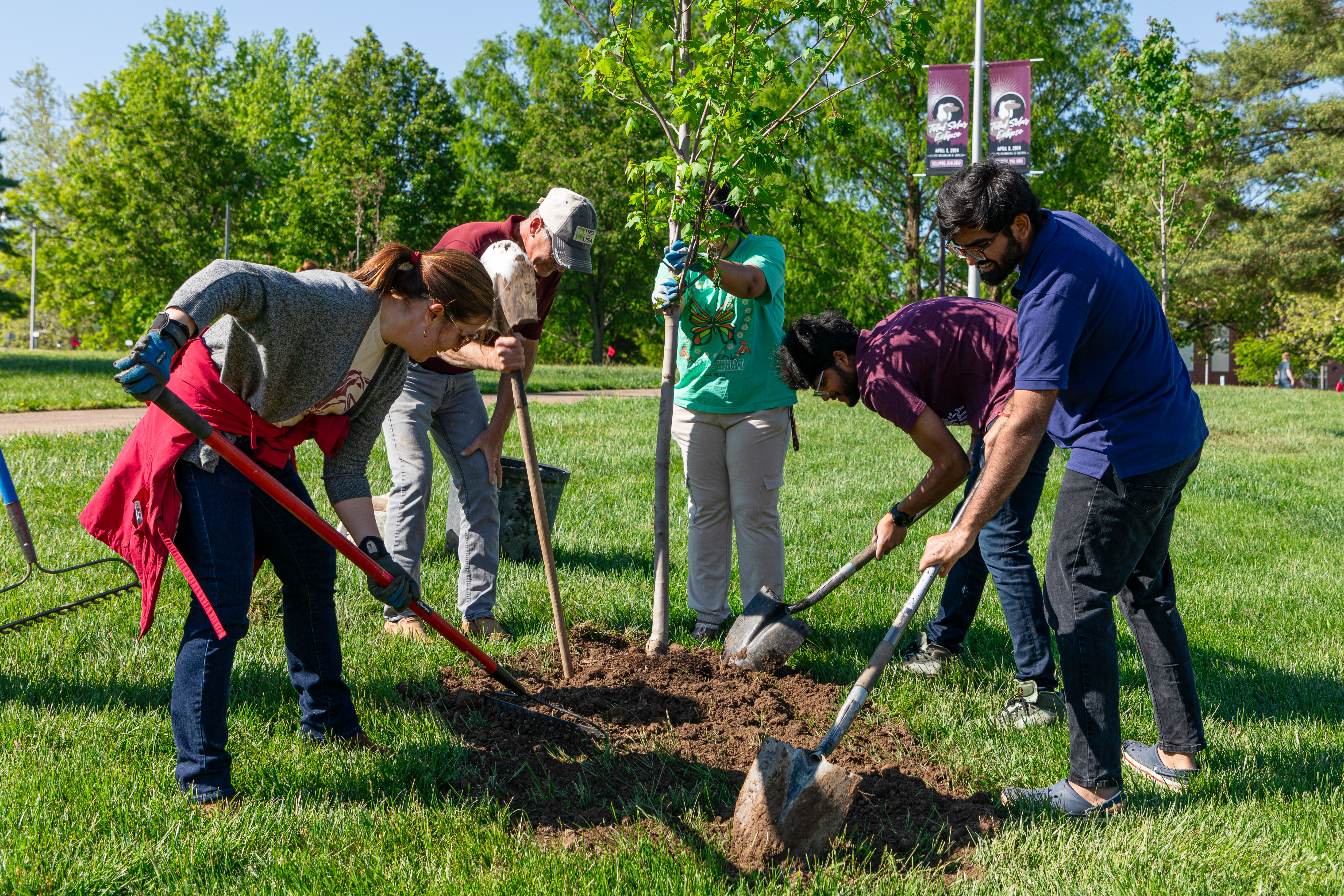 multiple people helping dig to plant a tree