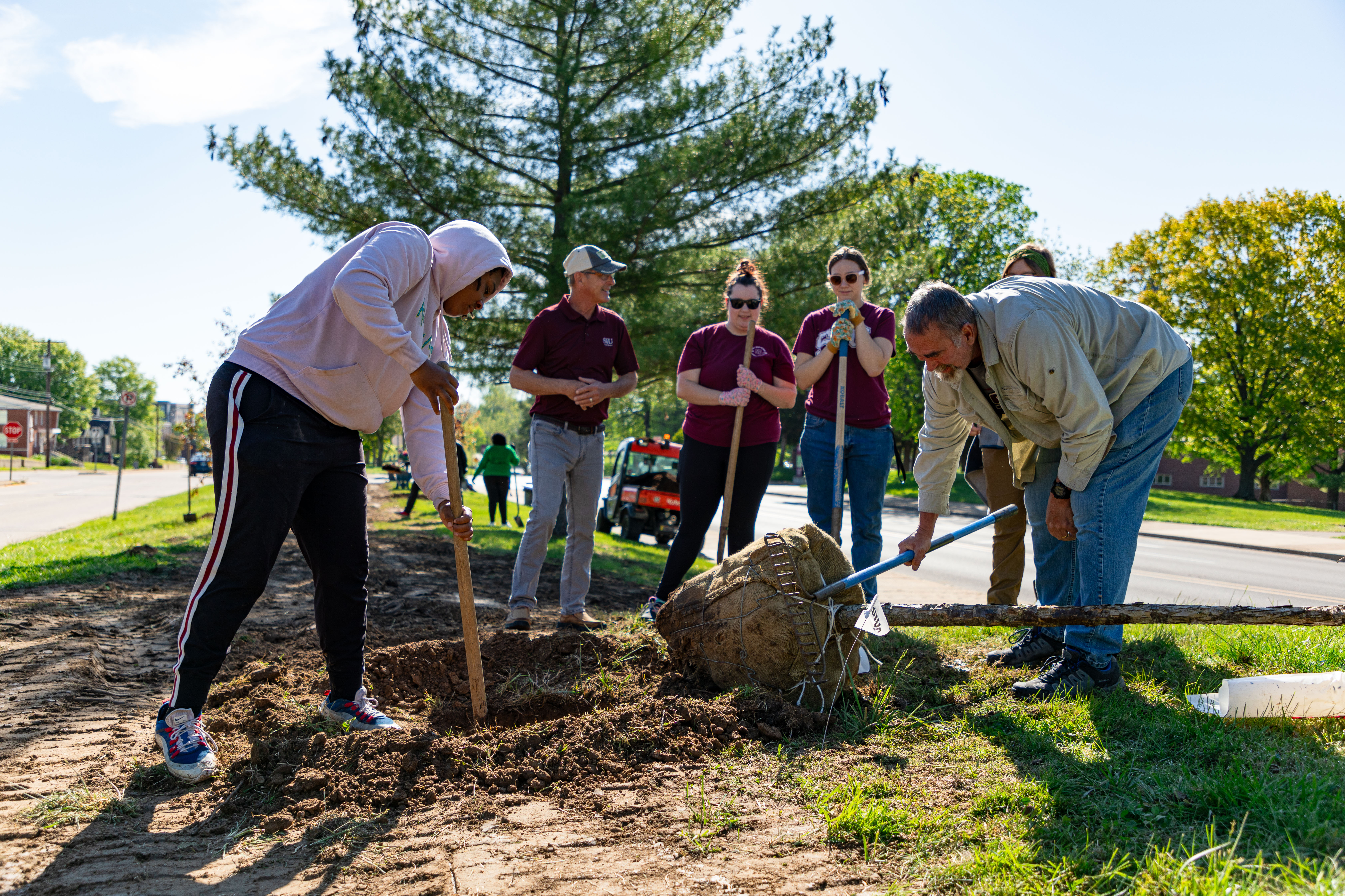 multiple people planting a tree